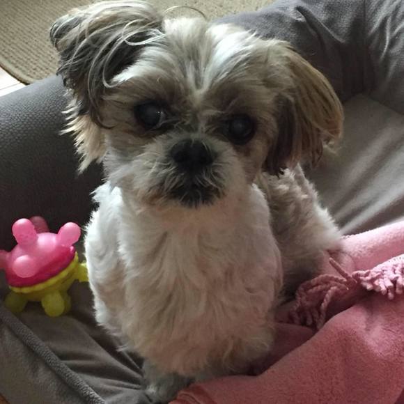 Meet your Posher, Kristen - Picture 1 of 1